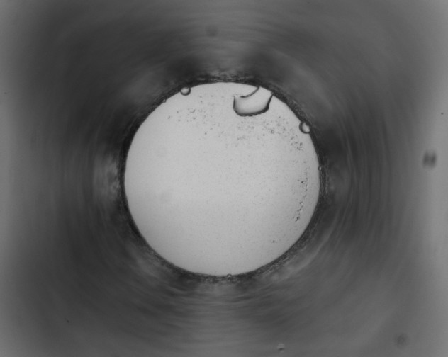 X0000103931106200809261657