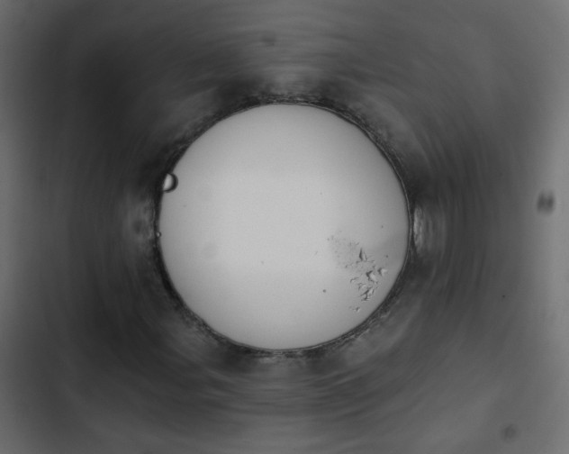 X0000103931107200809261657