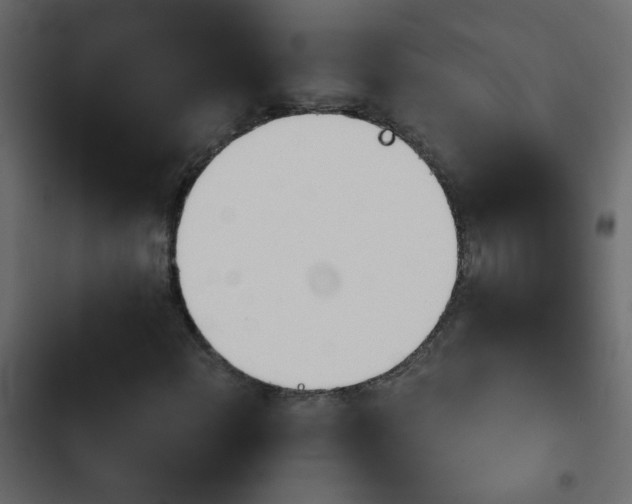 X0000103931108200809261657