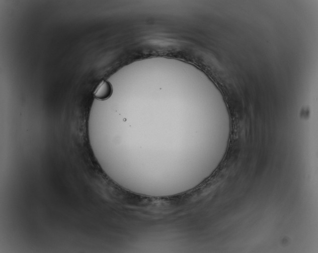X0000103931109200809261657