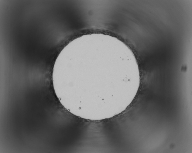 X0000103931110200809261657