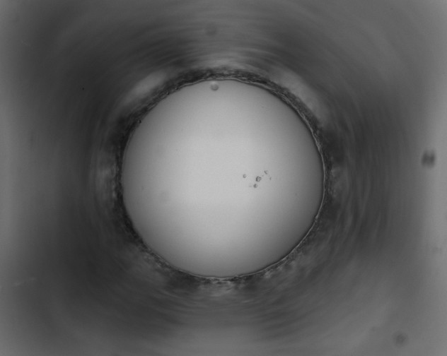 X0000103931111200809261657