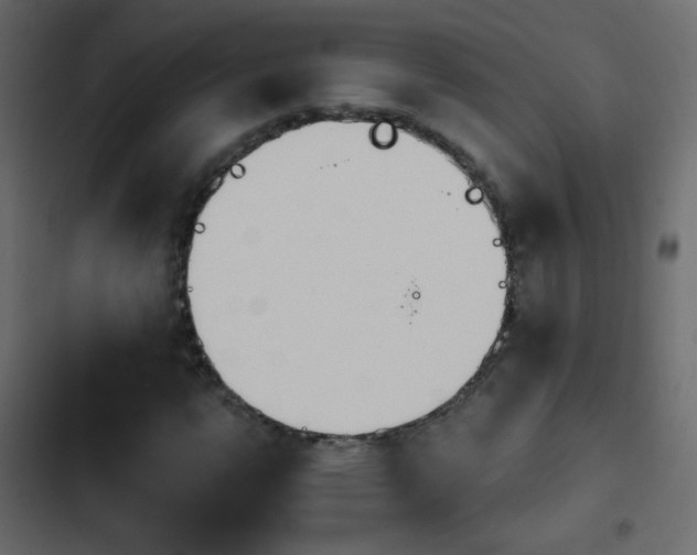 X0000103931112200809261657