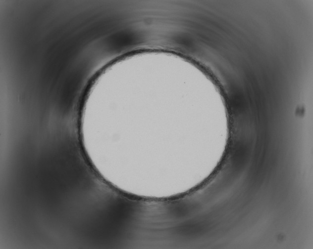 X0000103931114200809261657