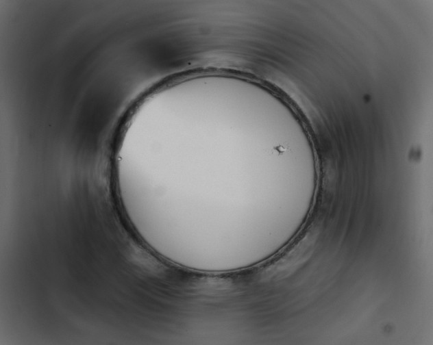 X0000103931115200809261657