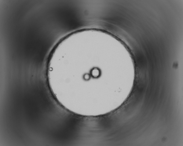 X0000103931116200809261657