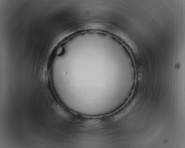 X0000103931117200809261657