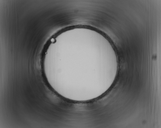 X0000103931118200809261657