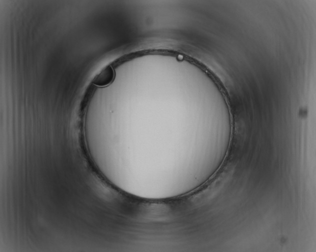 X0000103931119200809261657