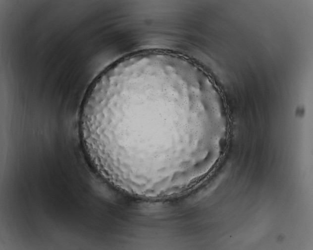 X0000103931121200809261658