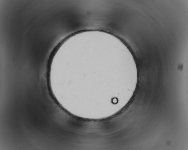 X0000103931122200809261658