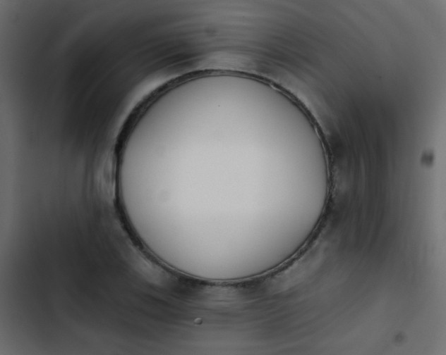 X0000103931123200809261658