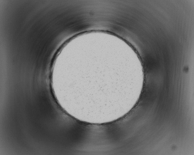 X0000103931124200809261658