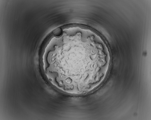 X0000103931125200809261658
