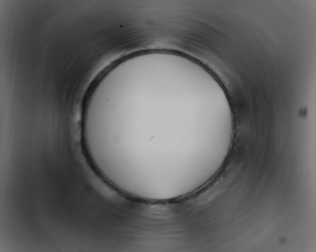 X0000103931126200809261658