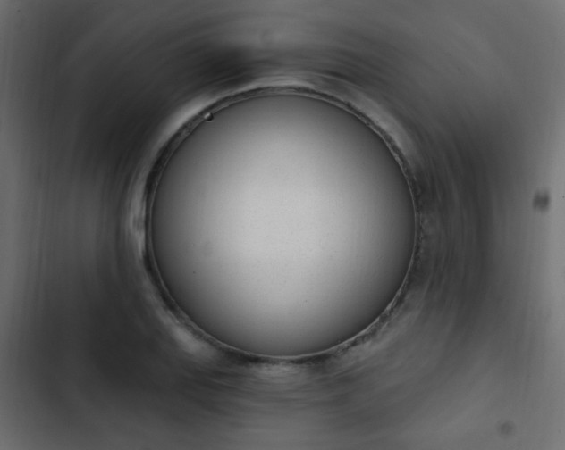 X0000103931127200809261658