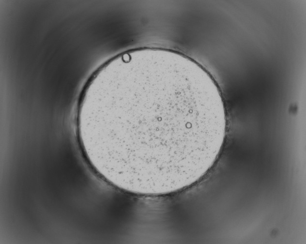 X0000103931128200809261658