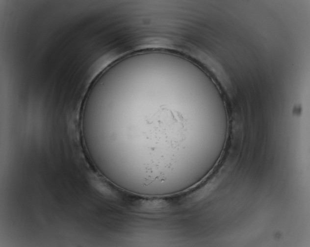 X0000103931129200809261658