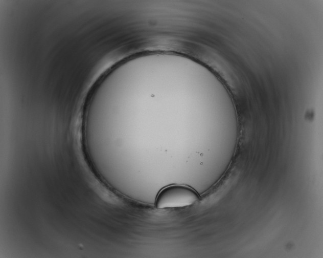 X0000103931130200809261658