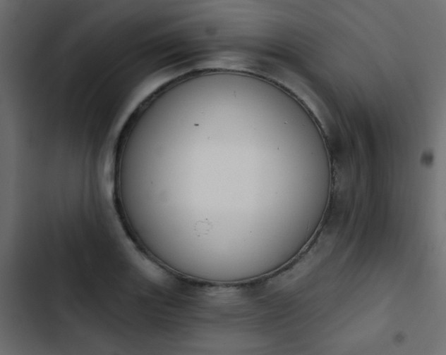 X0000103931131200809261658