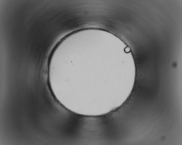 X0000103931132200809261658