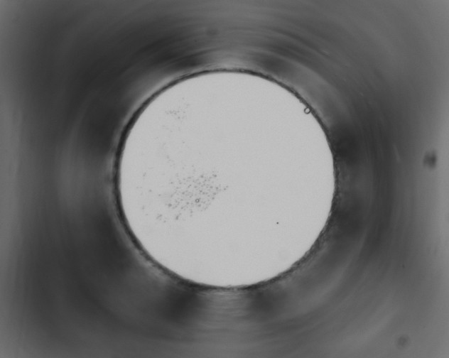 X0000103931134200809261658