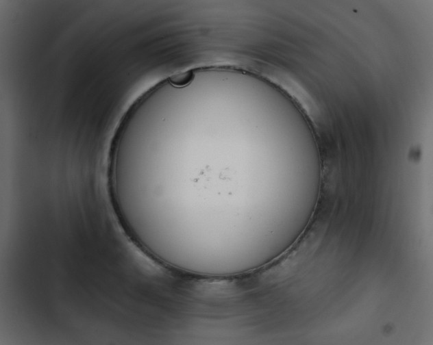 X0000103931135200809261658