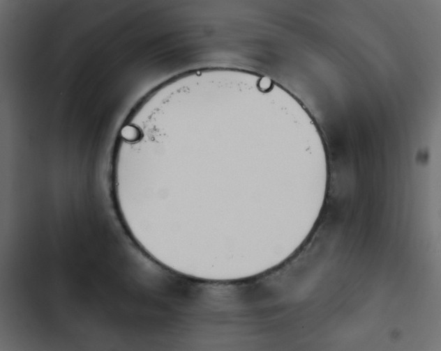 X0000103931136200809261658