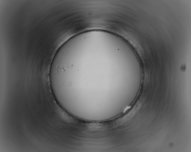 X0000103931137200809261658