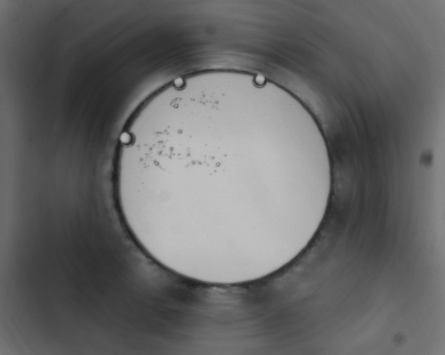 X0000103931138200809261658