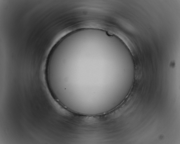 X0000103931139200809261658