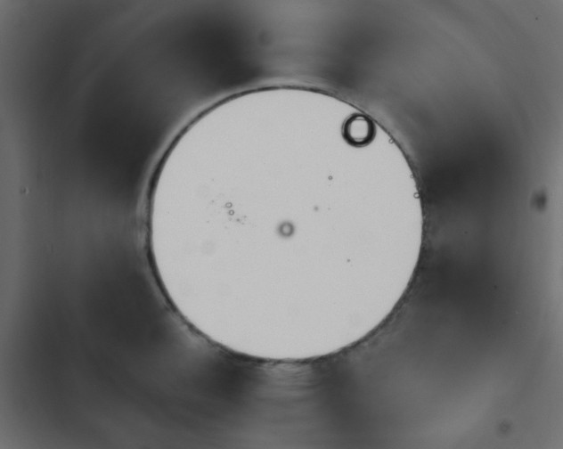 X0000103931140200809261658