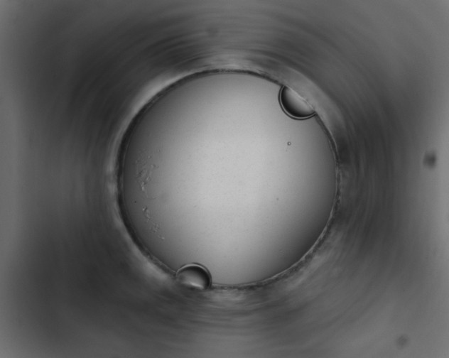 X0000103931141200809261658