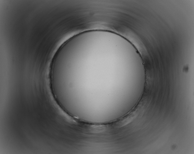 X0000103931142200809261658
