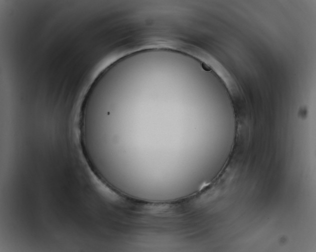 X0000103931143200809261658
