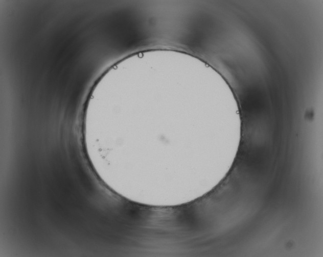 X0000103931144200809261658