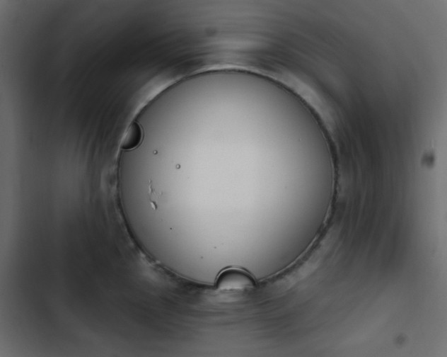 X0000103931145200809261658