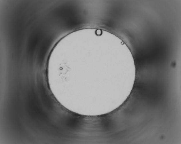 X0000103931146200809261658