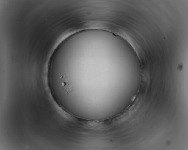 X0000103931147200809261658