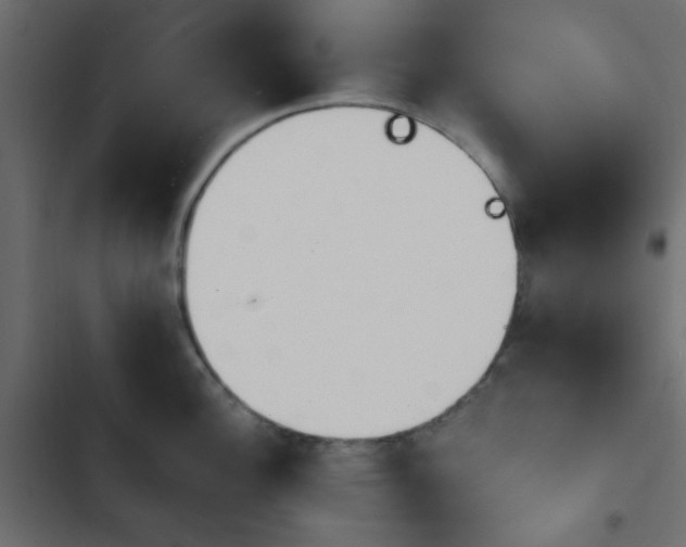 X0000103931148200809261658