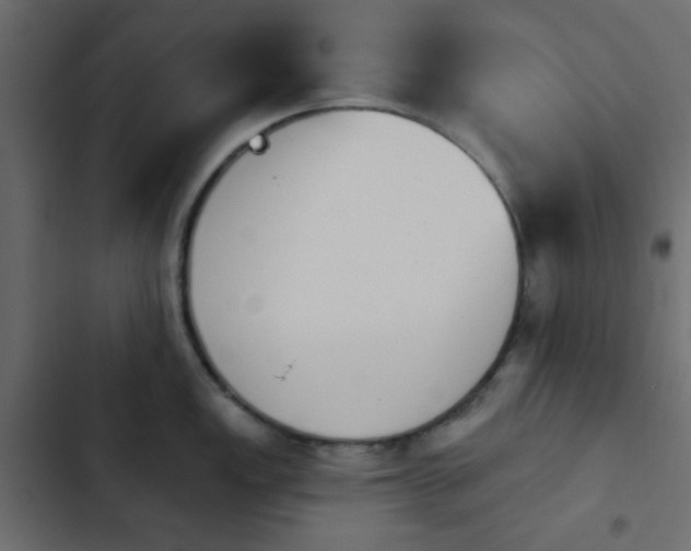 X0000103931149200809261658