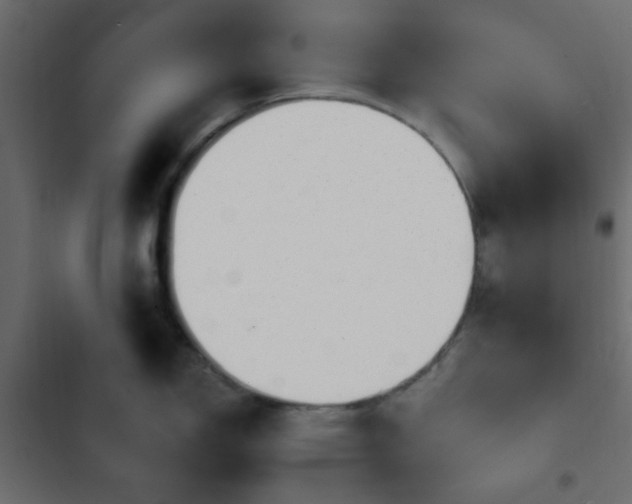 X0000103931150200809261658