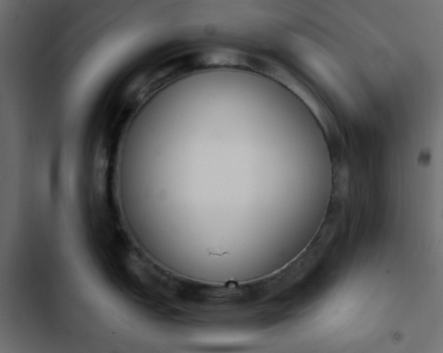 X0000103931151200809261658