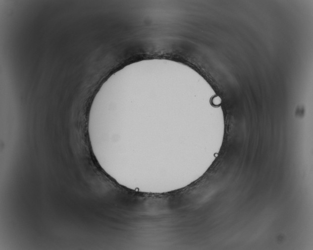 X0000103931153200809261657