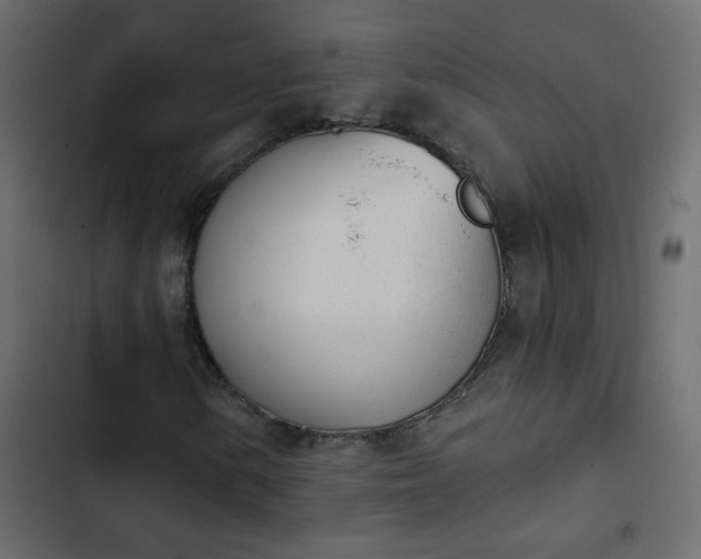 X0000103931154200809261657