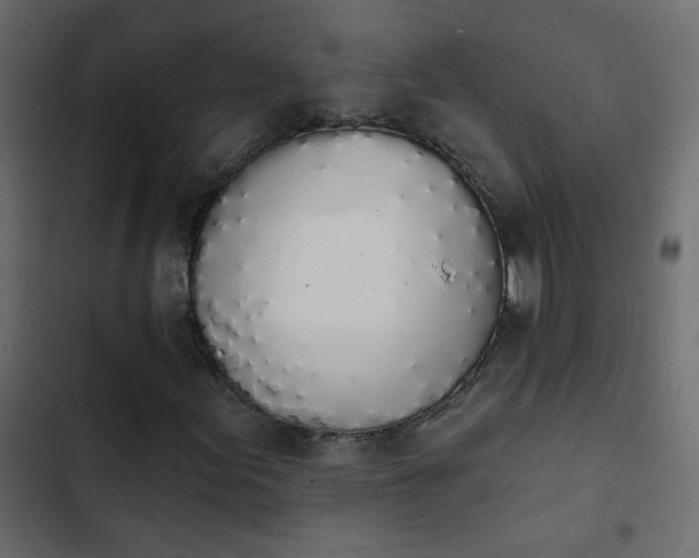 X0000103931155200809261657