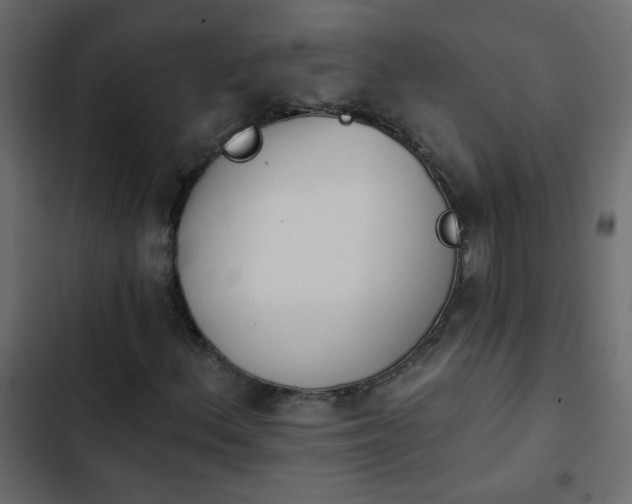 X0000103931156200809261657