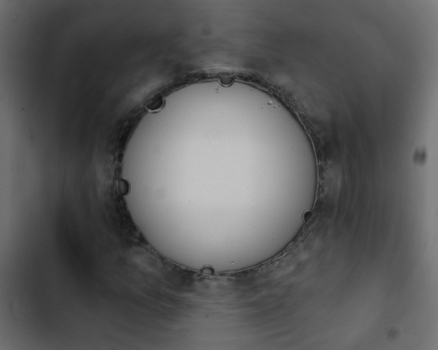 X0000103931157200809261657