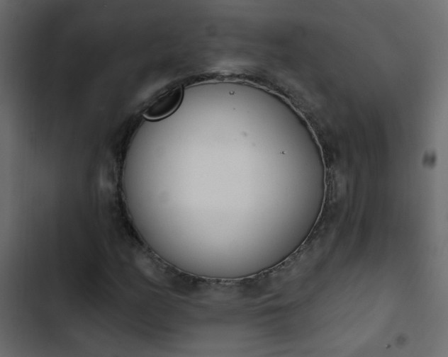 X0000103931158200809261657