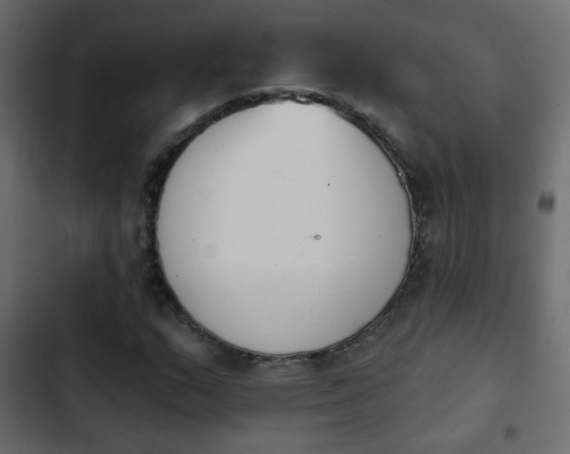X0000103931159200809261657
